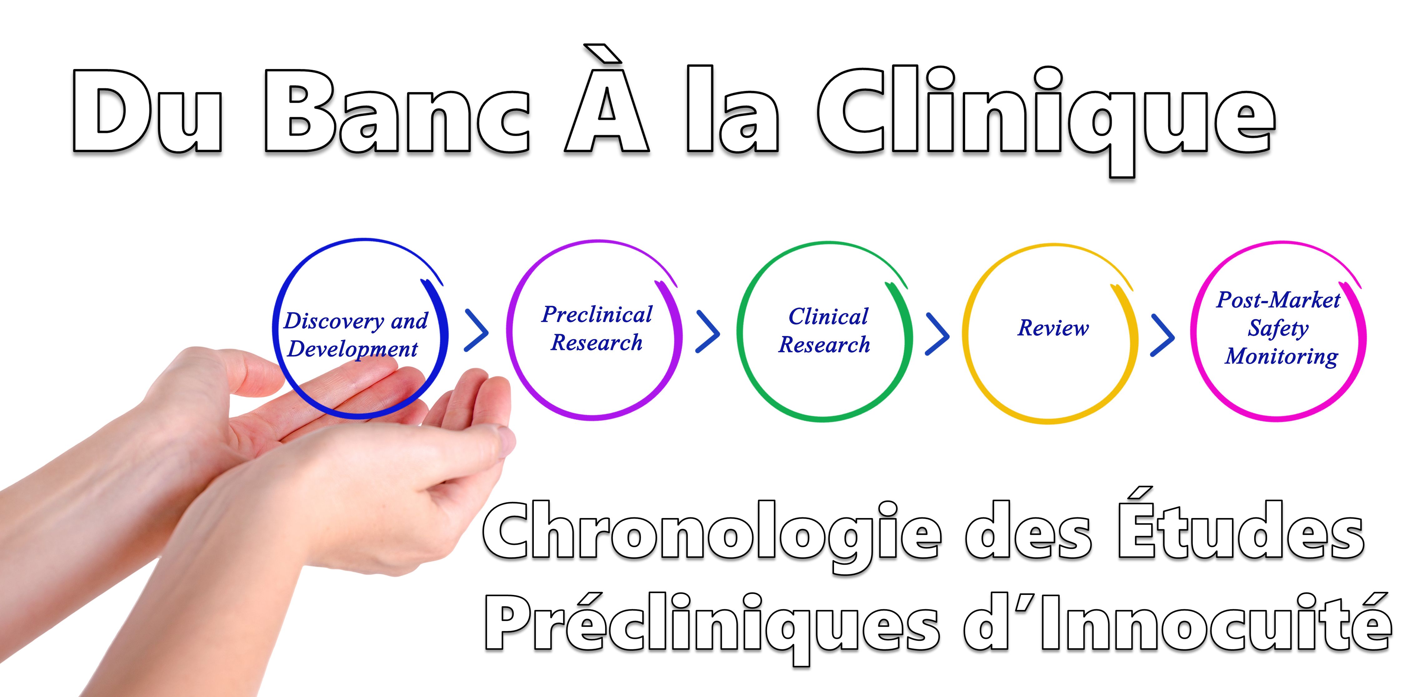 Bench to Clinic Featured Image FR ITR Laboratories Canada Inc.